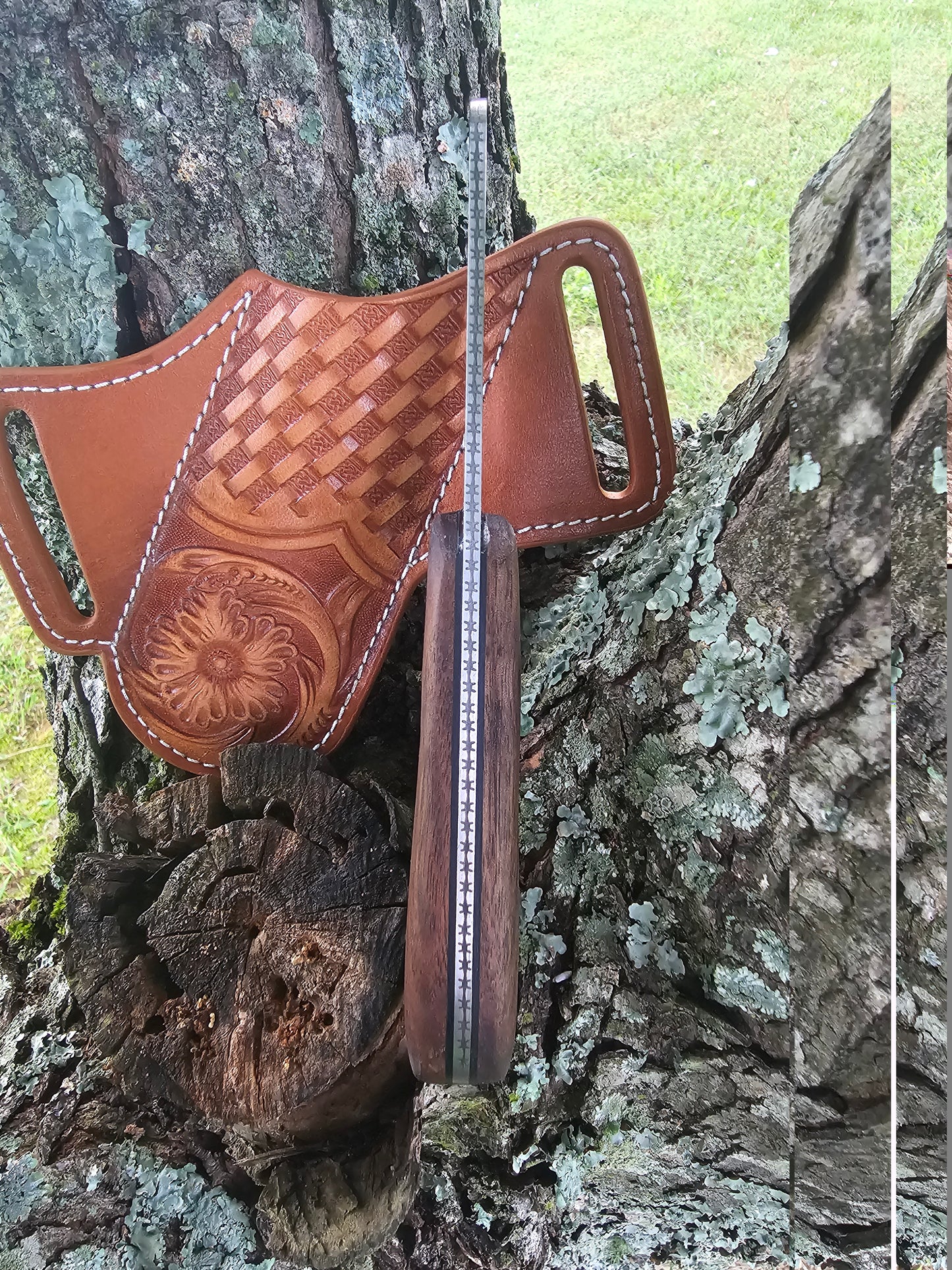 The Timberfang