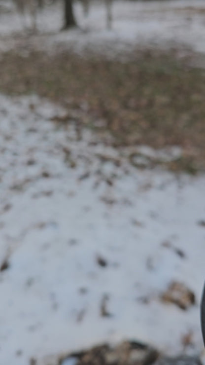 The "Iron-Burl Vanguard"